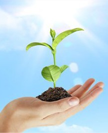iB Hijrah Ultima Corporate Current Account